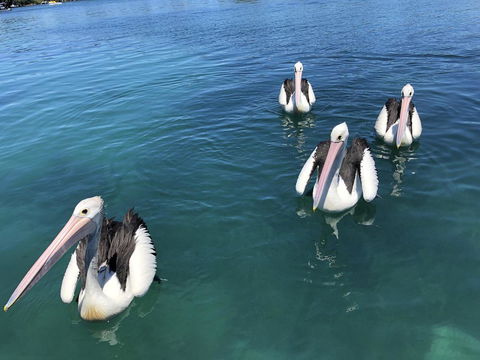 Aquarius 9 - New South Wales Tourism  4