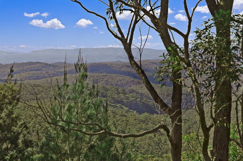 Mountainside B & B - New South Wales Tourism  9