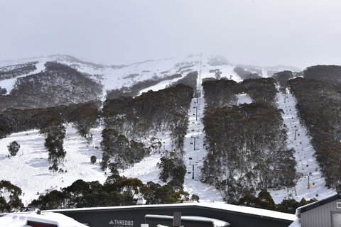 Pure Chalet Thredbo - New South Wales Tourism  6