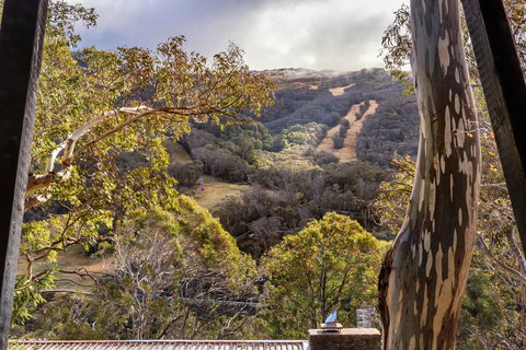 Pure Chalet Thredbo - New South Wales Tourism  35