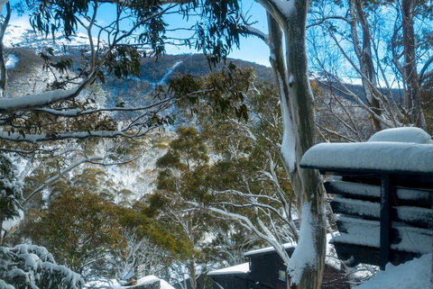 Pure Chalet Thredbo - New South Wales Tourism  30