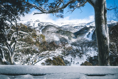 Pure Chalet Thredbo - New South Wales Tourism  2