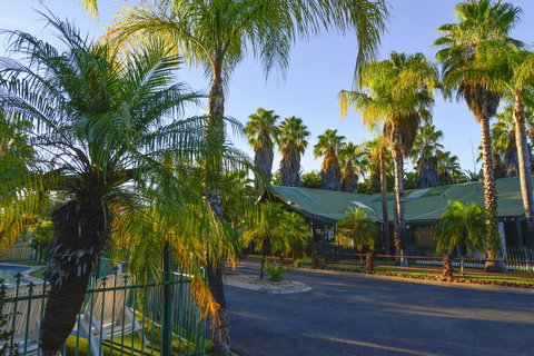 Desert Palms Alice Springs - New South Wales Tourism  21