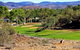 Desert Palms Alice Springs - thumb 30