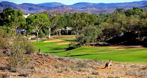 Desert Palms Alice Springs - New South Wales Tourism  30