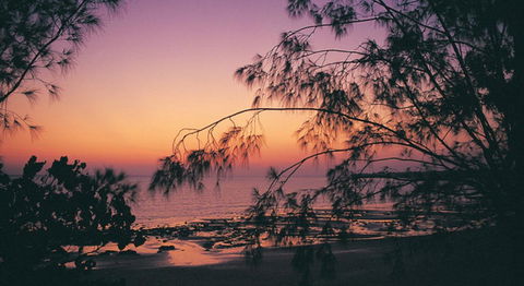 Darwin Beach Escape Holiday Home - New South Wales Tourism  25