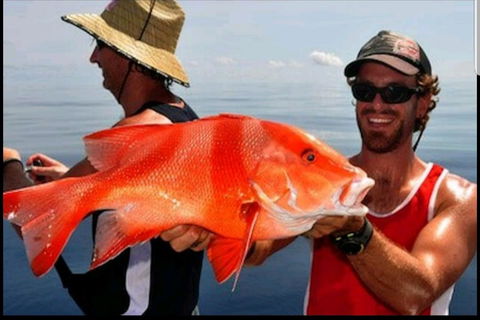 Darwin Beach Escape Holiday Home - New South Wales Tourism  39