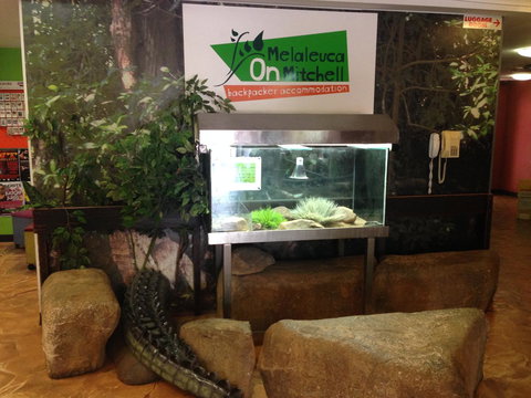 Melaleuca On Mitchell - Darwin YHA - New South Wales Tourism  32