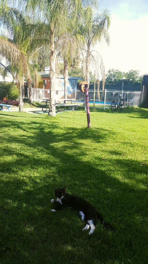 Alice Lodge - New South Wales Tourism  26