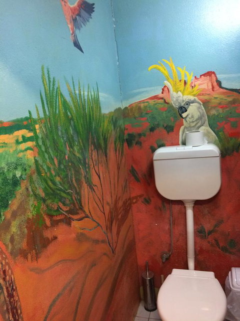 Alice Lodge - New South Wales Tourism  35