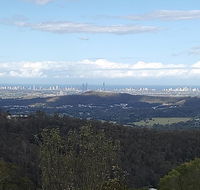 Bottletree Gardens - Mini Manson Blue - New South Wales Tourism 