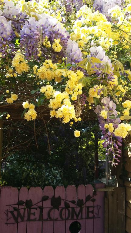 Bowral Road Bed And Breakfast - New South Wales Tourism  0