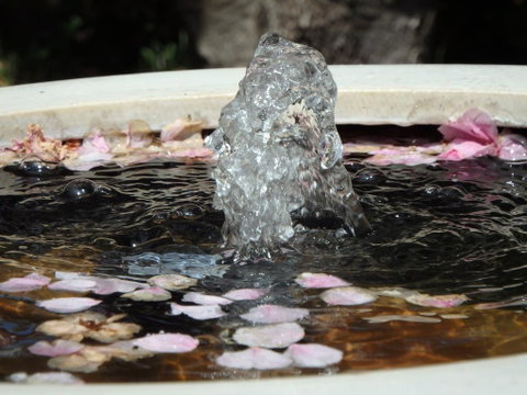Bowral Road Bed And Breakfast - New South Wales Tourism  2