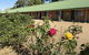 Bridge Motel Wellington - thumb 1