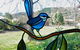 Bright Highland Valley Cottages - thumb 1