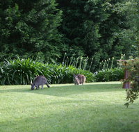 Bundanoon 2578 - New South Wales Tourism 