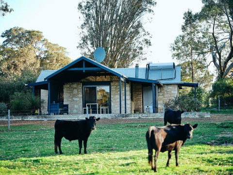 Burnside Organic Farm - New South Wales Tourism  2