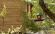 Bussells Bushland Cottages - thumb 3