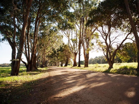 Bussells Bushland Cottages - New South Wales Tourism  1
