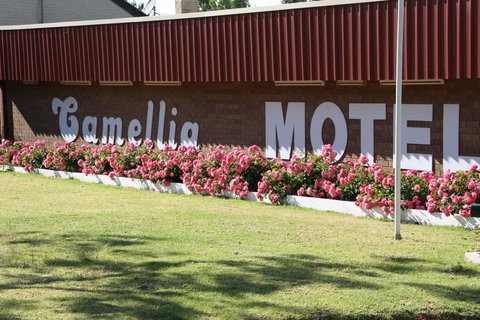 Camellia Motel - New South Wales Tourism  2