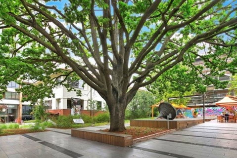 Canberra Luxury Apartment 8 - New South Wales Tourism  1