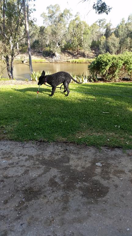 Captain's Cottage Bed & Breakfast - New South Wales Tourism  0