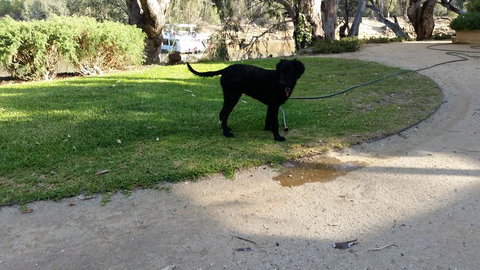 Captain's Cottage Bed & Breakfast - New South Wales Tourism  2