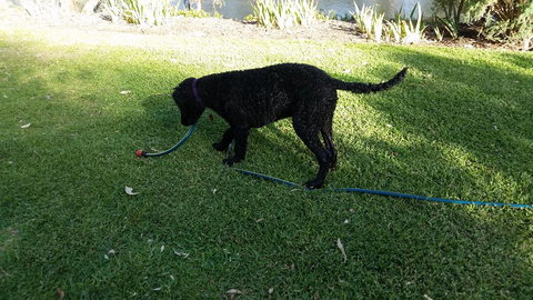 Captain's Cottage Bed & Breakfast - New South Wales Tourism  1