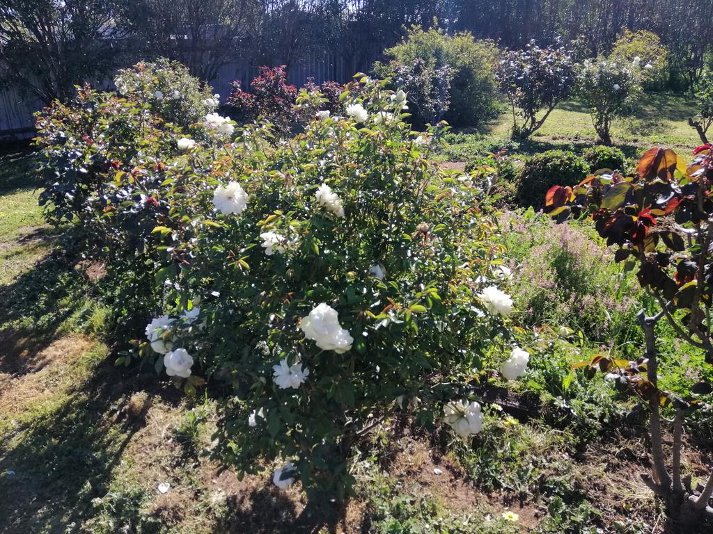 Carisbrook ACT New South Wales Tourism 