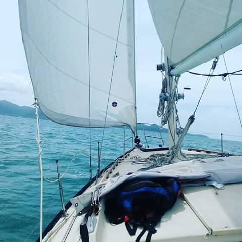 Casual Fare Sailing Charters Townsville - Ocean Living - Cruise - New South Wales Tourism  3
