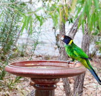 Caves Road Chalets - New South Wales Tourism 