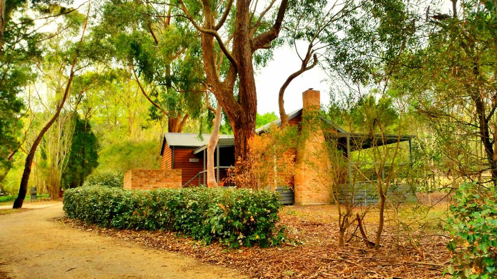 Deans Marsh VIC New South Wales Tourism 