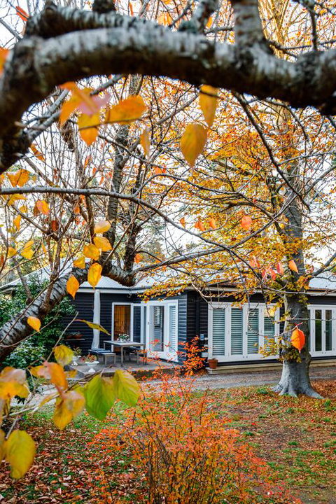 Charming Mountain Cottage - New South Wales Tourism  3