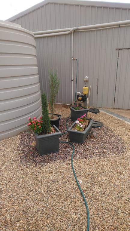 Chrissie's Dongara - New South Wales Tourism  2