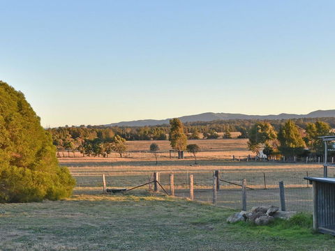 Clydesdale Cottage On Talga With Real Clydesdale Horses - New South Wales Tourism  1