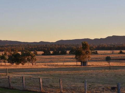 Clydesdale Cottage On Talga With Real Clydesdale Horses - New South Wales Tourism  3