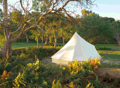 Coonawarra Bush Holiday Park - New South Wales Tourism  0