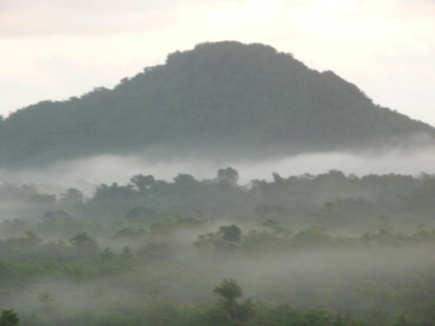 Coral Sea Views - New South Wales Tourism  1