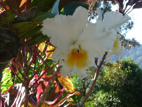 Coral Sea Views - New South Wales Tourism  2