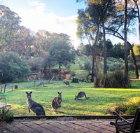 Countryside Retreat Spa Cottage Hepburn - Daylesford - New South Wales Tourism 