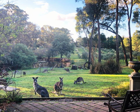 Countryside Retreat Spa Cottage Hepburn - Daylesford - New South Wales Tourism  0