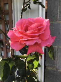 Book Mulgrave Accommodation Vacations New South Wales Tourism New South Wales Tourism