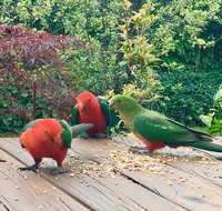 Crimson Villa - New South Wales Tourism 