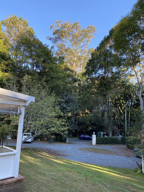 Curtis Falls Studio-Apartment - New South Wales Tourism  3