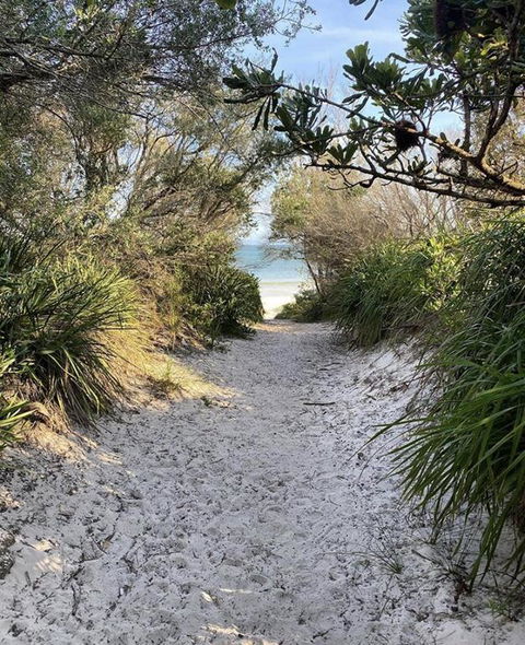 Cute And Costal - New South Wales Tourism  3