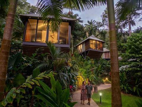 Daintree Ecolodge - New South Wales Tourism  0
