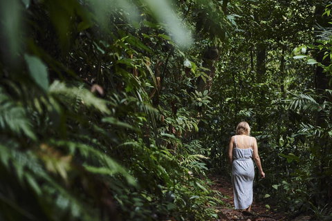 Daintree Ecolodge - New South Wales Tourism  2