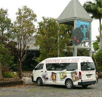Daintree Wild Bed  Breakfast - New South Wales Tourism 