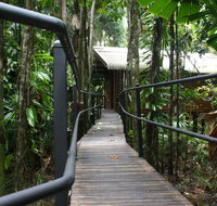 Daintree Wilderness Lodge - New South Wales Tourism 