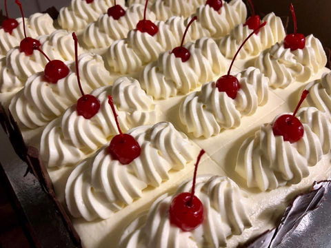 Derby Lodge Motel - New South Wales Tourism  2